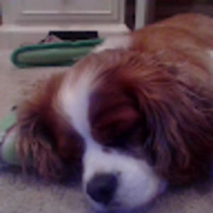 Meet your Posher, Kaya